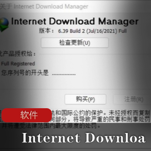 优秀下载软件《Internet Downloa》中文破解版推荐