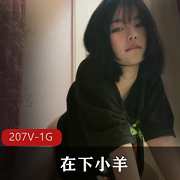 （在下小羊）全套视频合集